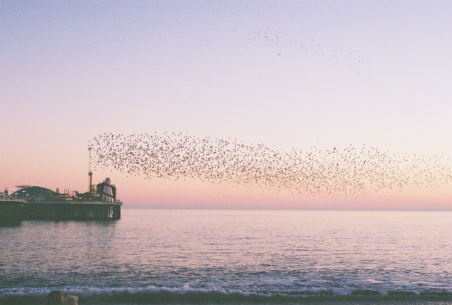 R1-02655-0017 copie 2